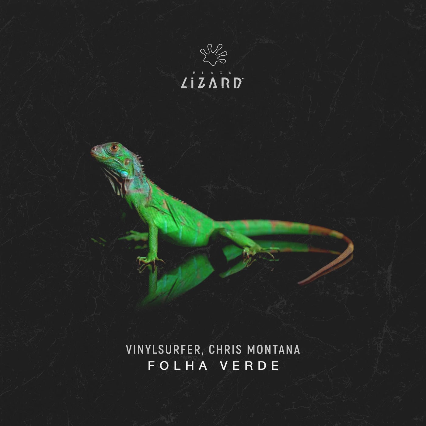 Chris Montana, Vinylsurfer - Folha Verde - Extended Mix [BL2103DJ]